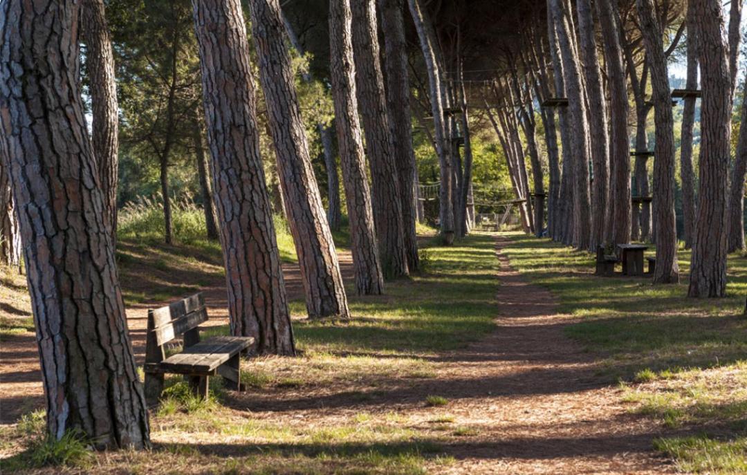 Alloggio Turistico Puccini Pérouse Extérieur photo